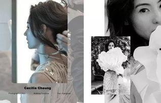 娱乐圈吃瓜实锤小说