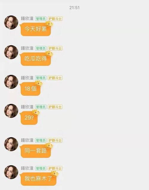 吃瓜娱乐圈网站大全,一网打尽热门八卦，揭秘明星幕后故事